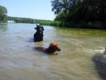 Jimmy en Wiske